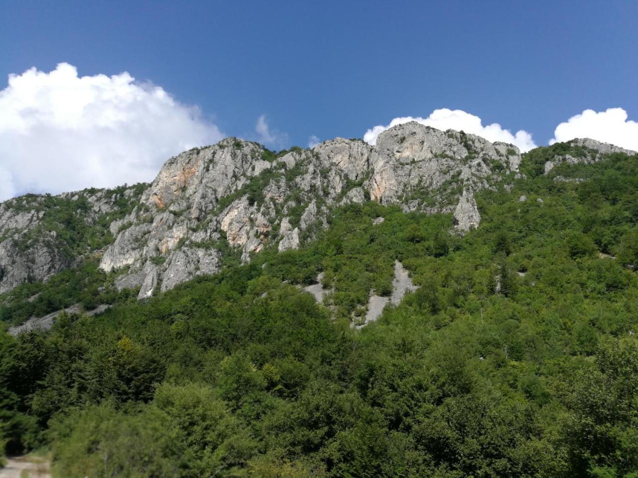 Hotel Juzni Vetar Trnski Odorovci Exterior foto